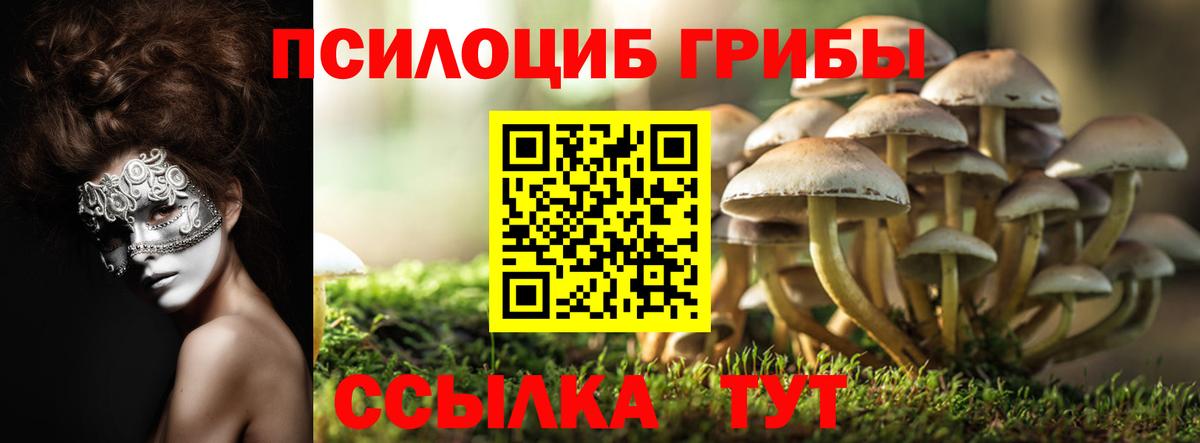 Галлюциногенные грибы мицелий  Вход с VPN  где купить   Кандалакша  Псилоцибиновые грибы Psilocybe 